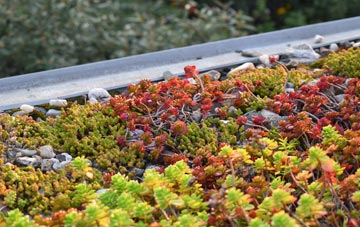 the cost of Belchers Bar green roof installation
