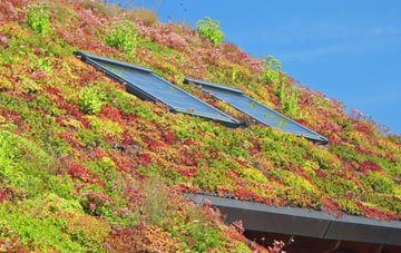 Belchers Bar living roof systems
